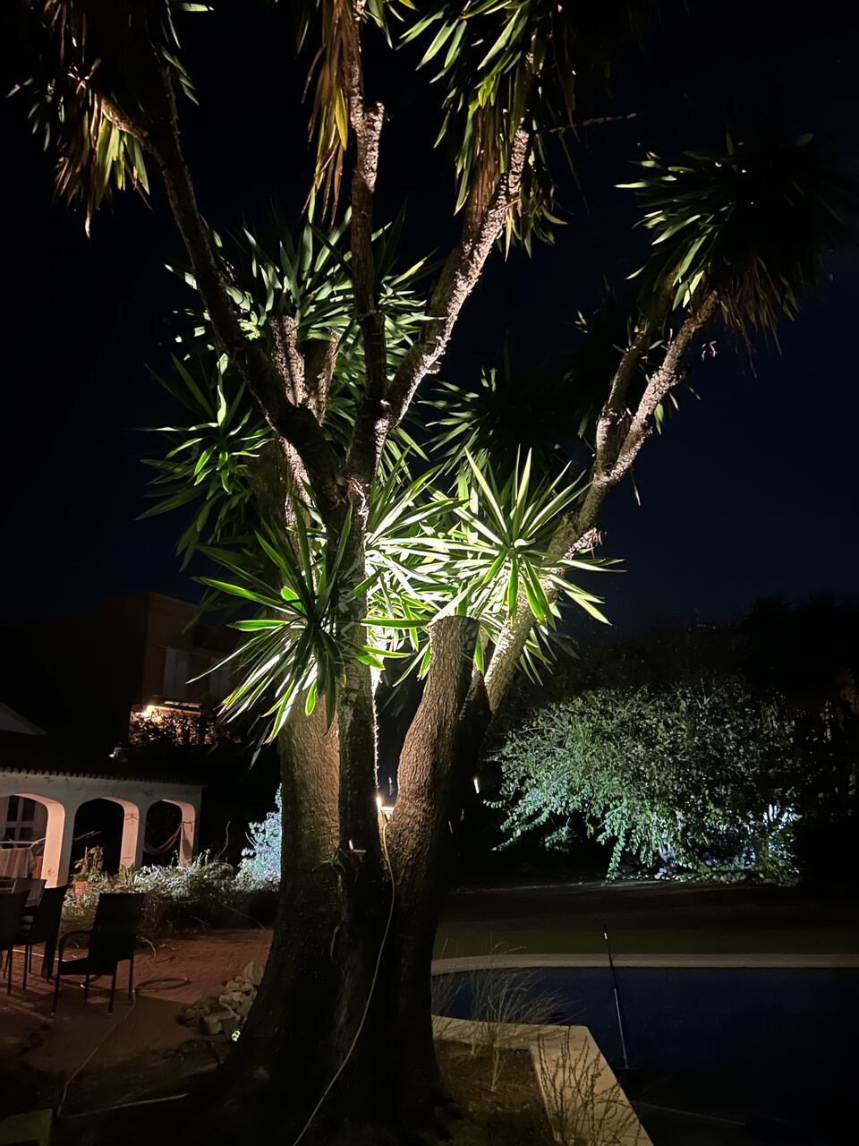 Mediterrane tuin bij nacht
